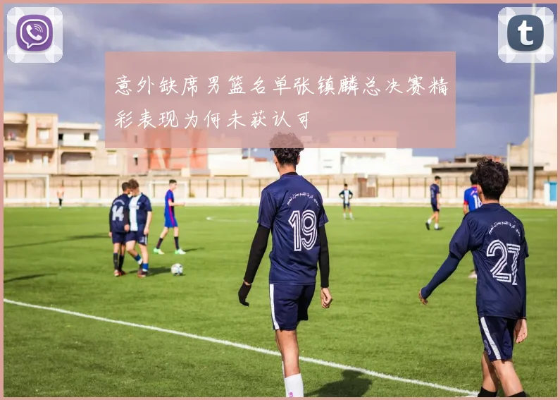 意外缺席男篮名单张镇麟总决赛精彩表现为何未获认可